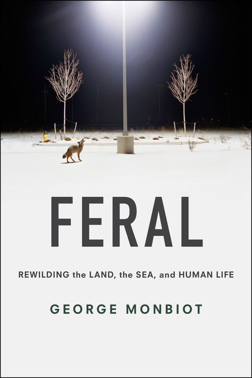 Feral - rewilding the land, sea, and human life