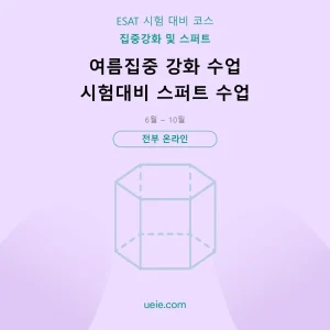 ESAT-시험 대비 코스-여름집중-스퍼트-온라인