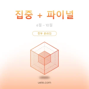 TMUA 시험 대비 코스 집중+파이널 (전부 온라인)