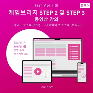 케임브리지 STEP 2 및 3 동영상 강의 (중국어)