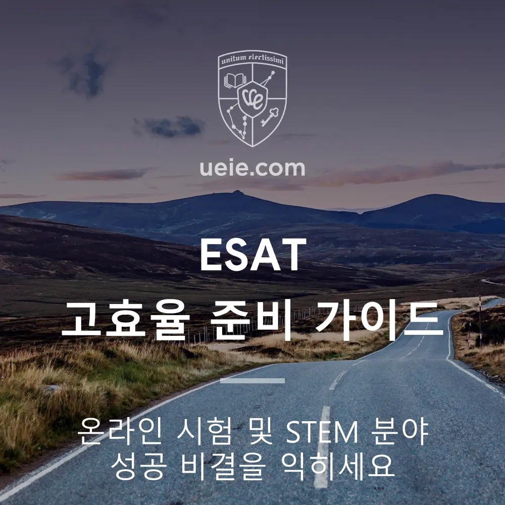 ESAT 정복: 온라인 다과목 시험 성공을 위한 통합 전략